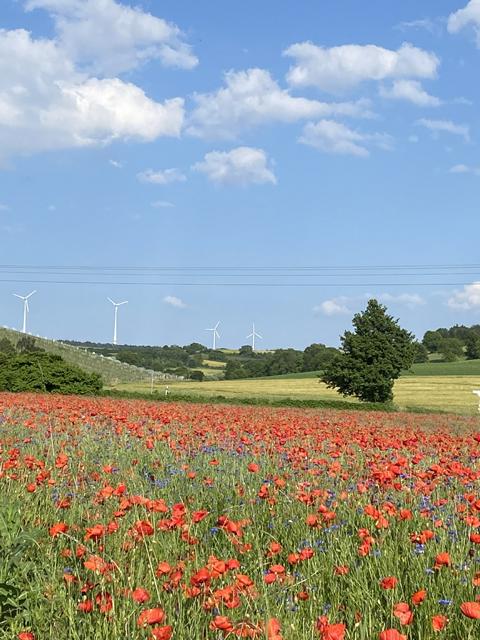 EGU Sommerfest